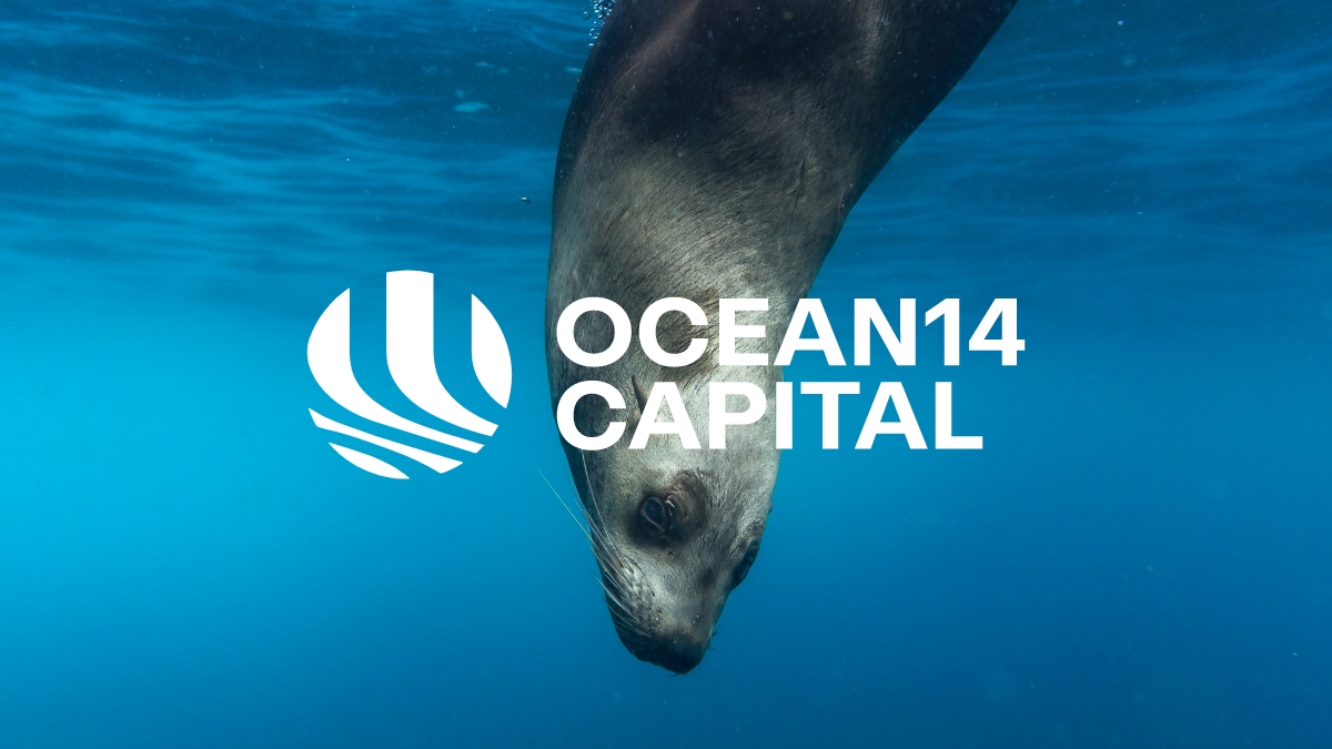Ocean 14 Capital photo